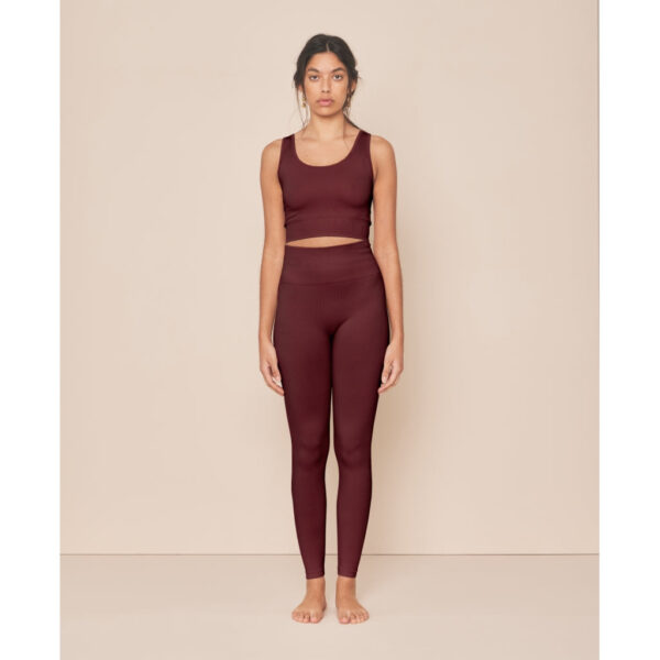 soft rib seamless legging burgundy