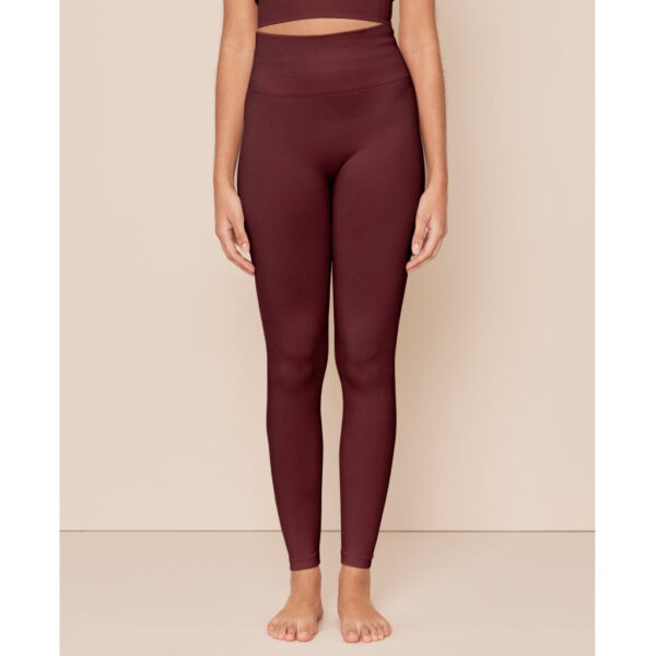 soft rib seamless legging seamless leggings my1086 burgundy.jpg